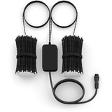 Philips Hue Hue White & Color Ambiance Festavia catena luminosa 40m, Lichterkette 