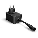 Philips Hue Hue White & Color Ambiance Festavia catena luminosa 40m, Lichterkette 