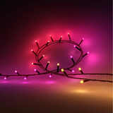 Philips Hue Hue White & Color Ambiance Festavia catena luminosa 40m, Luci a stringa 