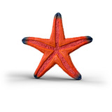 Schleich Wild Life Stella Marina con Cambio di Colore, Gioco figura 