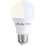 Shelly Duo, Lampada a LED 