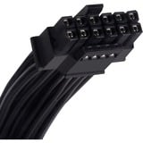 SilverStone SST-EX850R-PM 850W, Alimentatore PC Nero