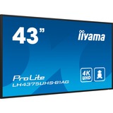 iiyama LE4341S-B2, Public Display nero lucido