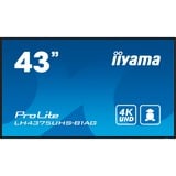iiyama LE4341S-B2, Public Display nero lucido