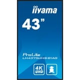 iiyama LE4341S-B2, Public Display nero lucido