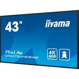 iiyama LE4341S-B2, Public Display nero lucido