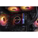 ALTERNATE AGP-SPECIAL-INT-006, PC Gaming Nero/trasparente