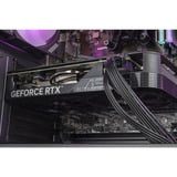 ALTERNATE AGP-SPECIAL-INT-006, PC Gaming Nero/trasparente