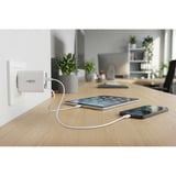 Ansmann Home Charger 230PD con cavo / 3 A / 30 W / 2 porte, Caricabatterie bianco
