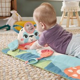 Fisher-Price HKD65, Tappeto gioco 
