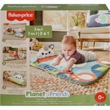 Fisher-Price HKD65, Tappeto gioco 