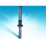 Hazet 810/6PZ, Cacciavite blu/Nero