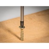 Hazet 810/6PZ, Cacciavite blu/Nero