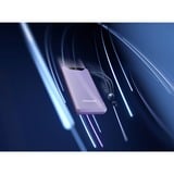 Intenso Powerbank F10000 Viola viola