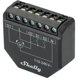 Shelly Persiana, Relè Nero