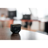 Shelly Persiana, Relè Nero