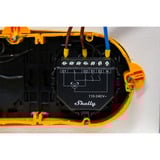 Shelly Persiana, Relè Nero