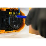 Shelly Persiana, Relè Nero