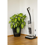 gorenje NEOCLEAN SFC216100G, Aspira bagnato / asciutto 