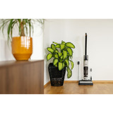 gorenje NEOCLEAN SFC216100G, Aspira bagnato / asciutto 