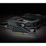 ADATA DIMM 32 GB DDR5-5600 (2x 16 GB) Dual-Kit, Memoria Nero