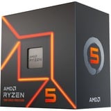AMD Ryzen™ 5 7600, Processore boxed