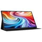 Acer PM161QT Touch portatile, Monitor LED Nero