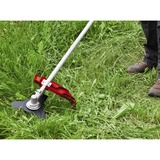 EINHELL GC-MM 52 I AS 1500 W Benzina Nero, Grigio, Rosso, Tagliabordi rosso/Nero, Tagliabordi, Impugnatura a U, 2,4 mm, 4 m, 9600 Giri/min, Nero, Grigio, Rosso