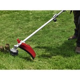 EINHELL GC-MM 52 I AS 1500 W Benzina Nero, Grigio, Rosso, Tagliabordi rosso/Nero, Tagliabordi, Impugnatura a U, 2,4 mm, 4 m, 9600 Giri/min, Nero, Grigio, Rosso