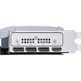 MSI V531-001R, Scheda grafica 
