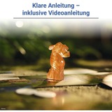 Ravensburger Disney Villainous - Ora arriva il brutto, Gioco da tavolo 