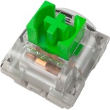 Razer Green Switch-Set, Interruttore a pulsante verde/trasparente