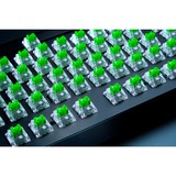 Razer Green Switch-Set, Interruttore a pulsante verde/trasparente