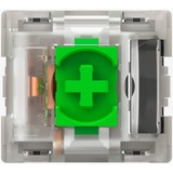 Razer RC21-02040200-R3M1, Interruttore a pulsante verde/trasparente