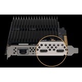 Sonnet G10E-USBC-M2-E, Scheda di interfaccia 