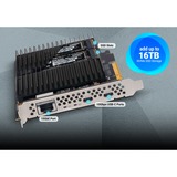 Sonnet G10E-USBC-M2-E, Scheda di interfaccia 