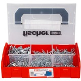 fischer 562273, Set di viti 