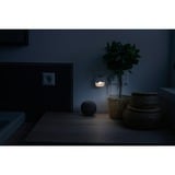 Ansmann 1600-0406, Luce notturna bianco
