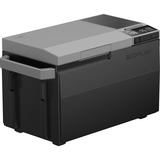 ECOFLOW 603188 Nero/Argento