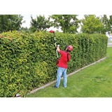 EINHELL 11017 tosasiepe 4,28 kg rosso/Nero, Batteria, 4,28 kg, 205 mm, 122 mm, 1215 mm, 5,44 kg