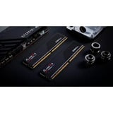 G.Skill F5-5600J4040D48GX2-FX5, Memoria Nero