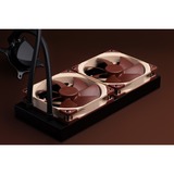 Noctua NA-SAVG2 marrone