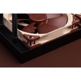 Noctua NA-SAVG2, Guarnizione marrone