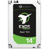 Seagate Exos X14 12 TB Ricondizionato, Hard-disk 