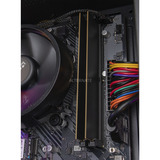 ALTERNATE AGP-BASIC-AMD-001 Nero/trasparente