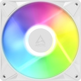ARCTIC BioniX P14 A-RGB, Ventola bianco/Bianco