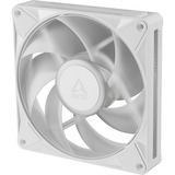 ARCTIC BioniX P14 A-RGB, Ventola bianco/Bianco