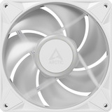 ARCTIC BioniX P14 A-RGB, Ventola bianco/Bianco