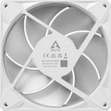 ARCTIC BioniX P14 A-RGB, Ventola bianco/Bianco