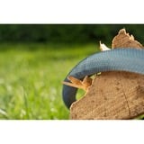 GARDENA 18465-20, Tubo flessibile grigio scuro/Orange